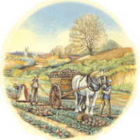 Autumn Harvest with Horse and Wagon